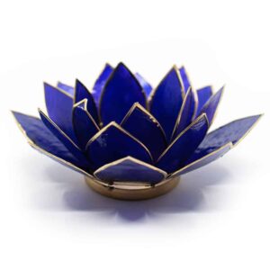 Lotus Sfeerlicht Blauw - beschadigd