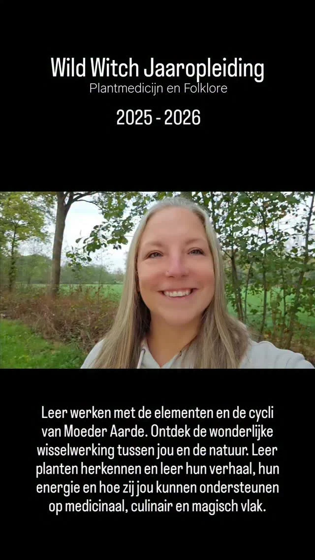 Ik heb de eer dat ik al 7 vrouwen een jaar lang mag begeleiden op hun heksenpad en ik mag dat doen op een manier dat ik de magie het hardste voel: met de handen in de aarde.

We starten nu 26 oktober en duiken meteen in de materie van de Andere Wereld en trekken we naar grafheuvels en kijken naar de natuur nabij. Gaan we werken met schaduwplanten en droomwerk en duiken we in decocten. 

Zo zijn er daarna nog 5 data met eigen excursies en technieken (maceraties, tincturen, ...) maar ook elementenwerk, meditaties en droomwerk en bij gelegenheid een vakspecialist. Wil je er ook bij? Wees dan snel want er zijn nog maar 3 plekjes! 

Stevige investering? Niet als je weet dat we 6 keer live samenkomen, je een lijvige cursus krijgt, heerlijke wildpluk lunches krijgt, samen gaan wandelen / proeven / experimenteren en dat je alle basismateriaal ter beschikking hebt.

En vooral... je een ervaring gaat opdoen waarmee je een leven mee verder kan en jezelf en je gezin kan ondersteunen, je dichter bij de / jouw natuur komt en écht kan heksen (niet door erover te lezen maar door het te voelen in je aderen, te zien in de natuurtekenen, je wilde zelf weer wakker te maken...)

Investering voor een jaar lang ervaren is 650 euro (je kan in schijven betalen). Nog maar 3 plekjes beschikbaar want ik wil een bescheiden groep zodat we echt de diepte in kunnen. 

Ik kijk er zooo hard naar uit 😍

#wildwitchjaaropleiding #plantmedicijnenfolklore #herborisme #hekserij #hetrijkvanholle #bomen #magischnatuurlijk #paddenstoelen #planten